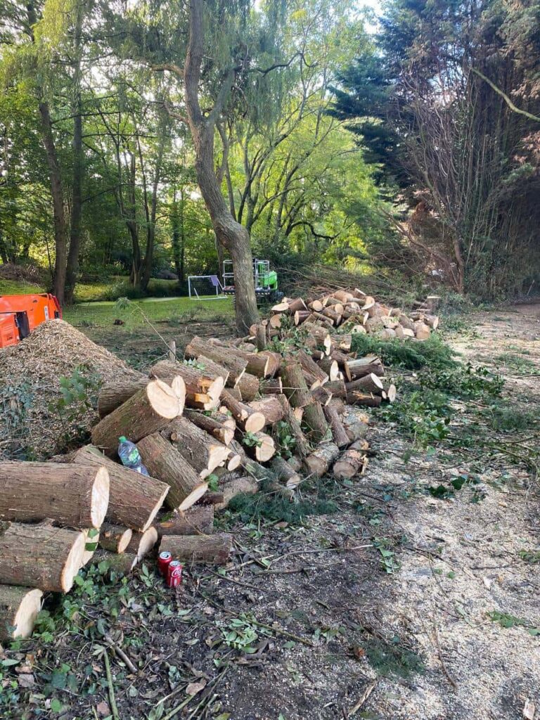 This is a photo of an overgrown large garden, which is in the process of having tree removal. The photo shows a stack of logs along the left hand side, from all the trees which are being removed. Photo taken by Newmarket Tree Surgeons.