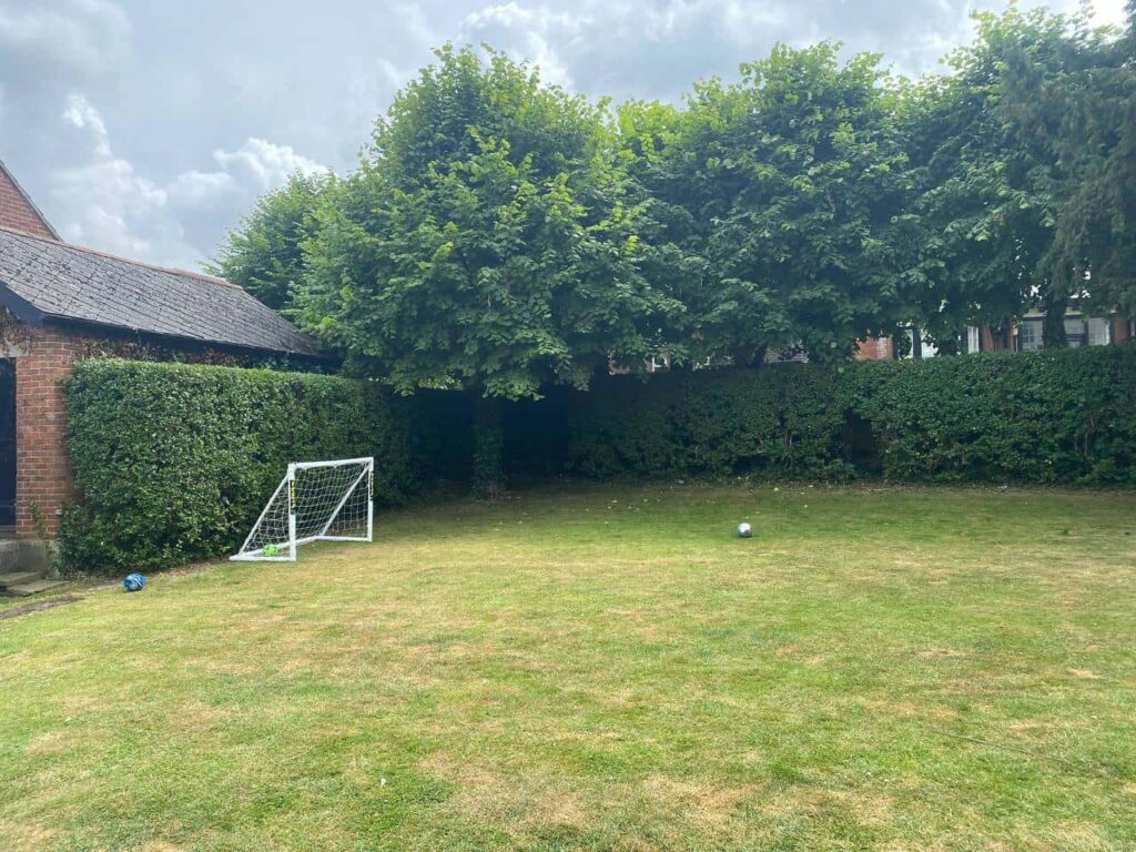 This is a photo of a hedge that has just been trimmed in a garden. The hedge is about 8 Metres long and runs along the back and left hand side of the garden iteslf. There are also trees in the background, and a house. Photo taken by Newmarket Tree Surgeons.